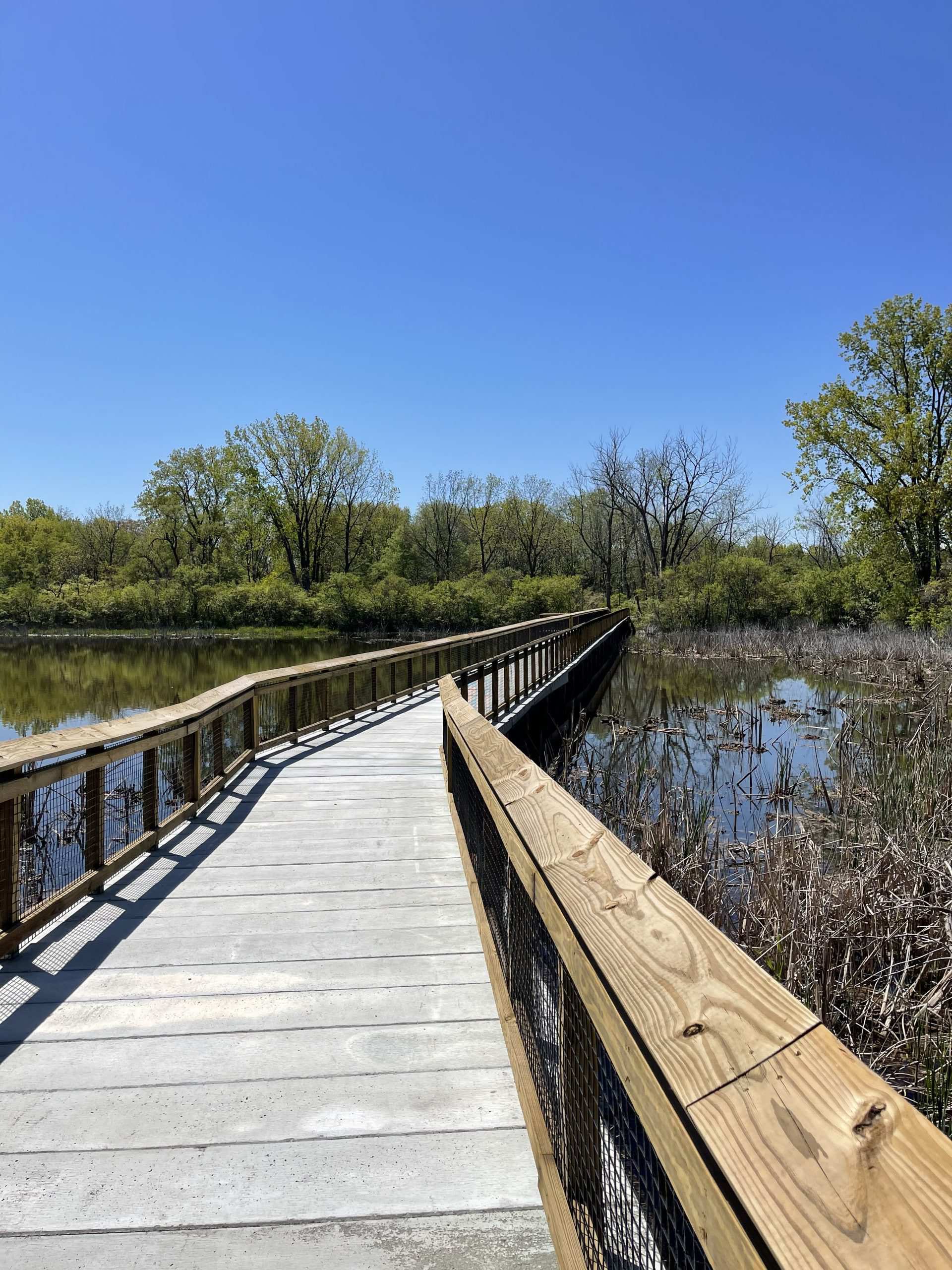 Concrete walking bridges - terratread