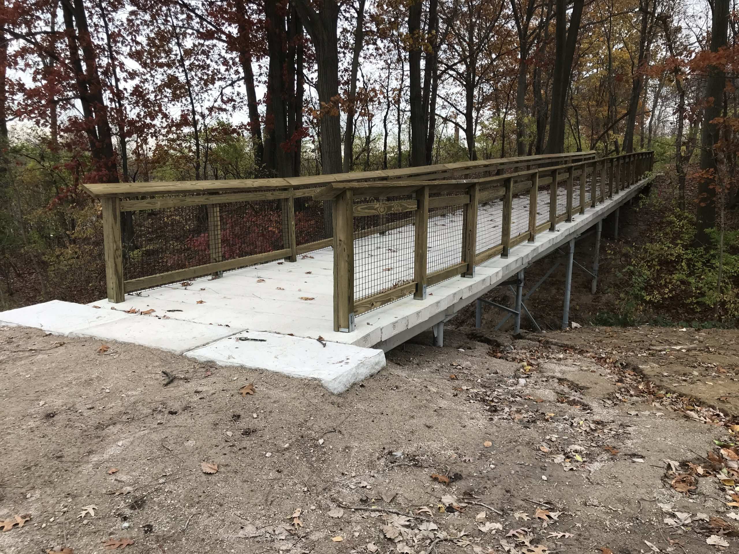Park pedestrian bridges