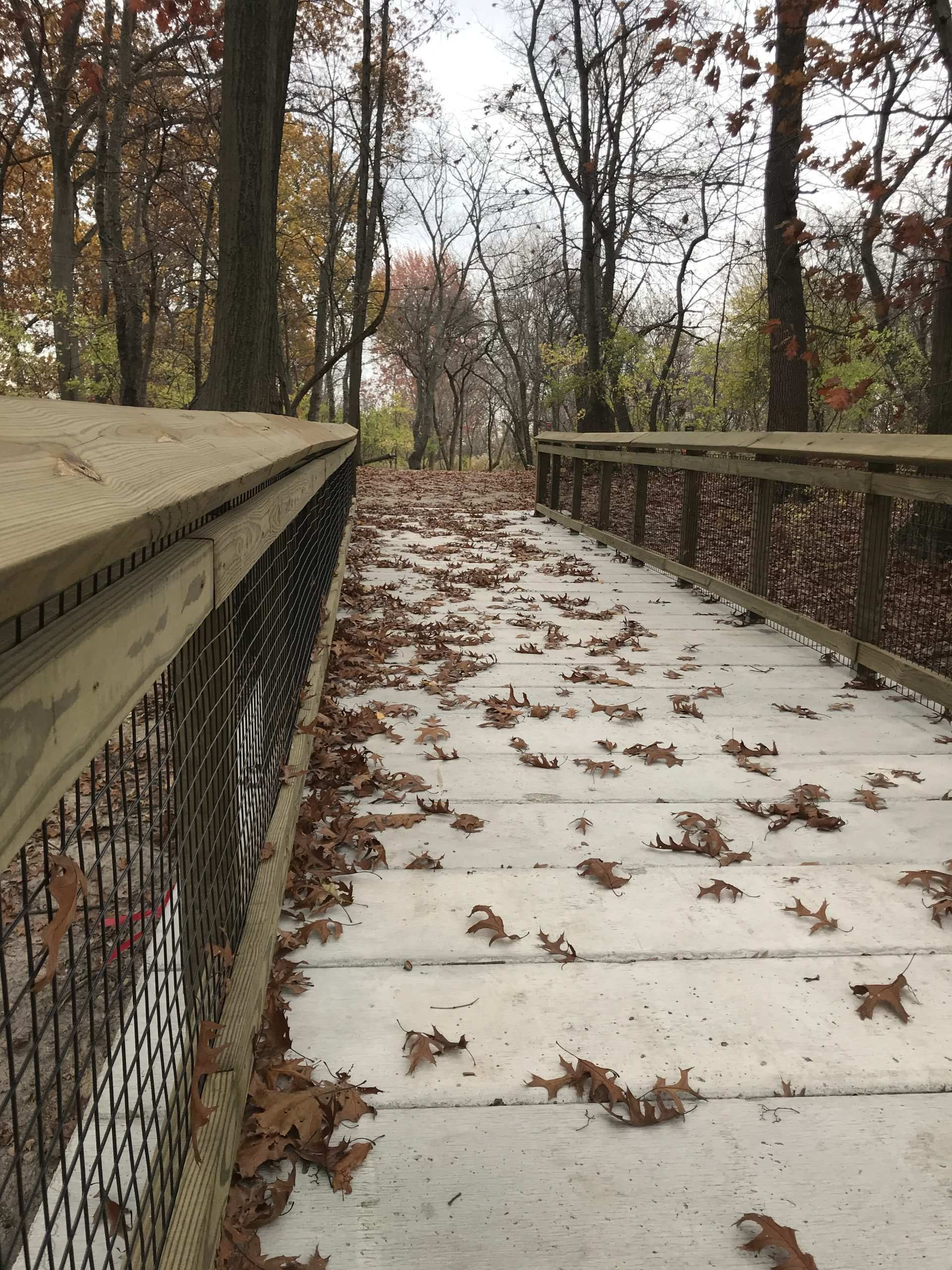 boardwalks and overlooks for metroparks