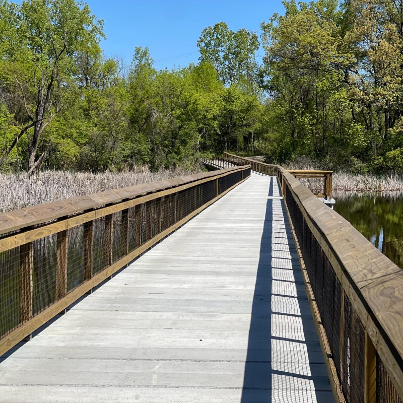Manhattan Marsh 14