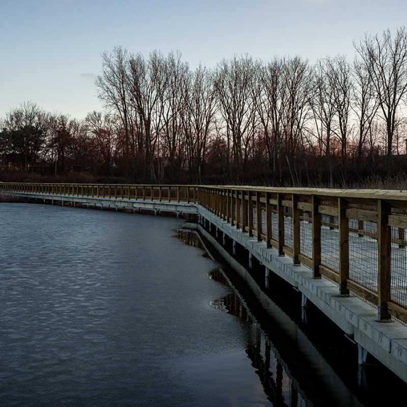 Manhattan Marsh 2