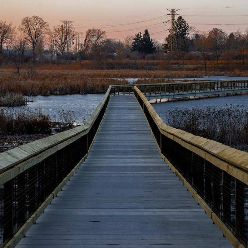 Manhattan Marsh 3