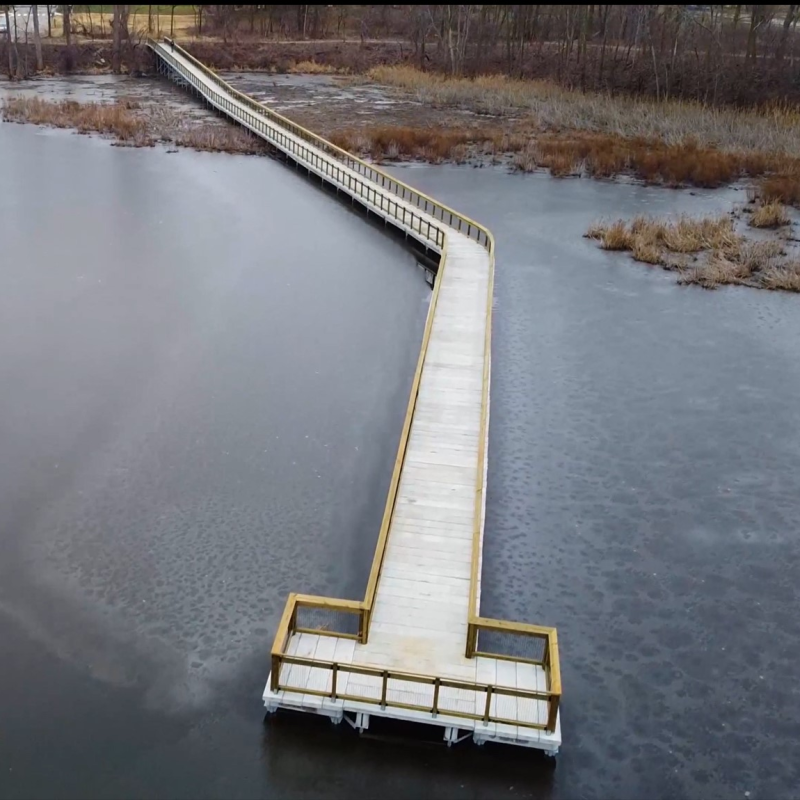 Manhattan Marsh 4