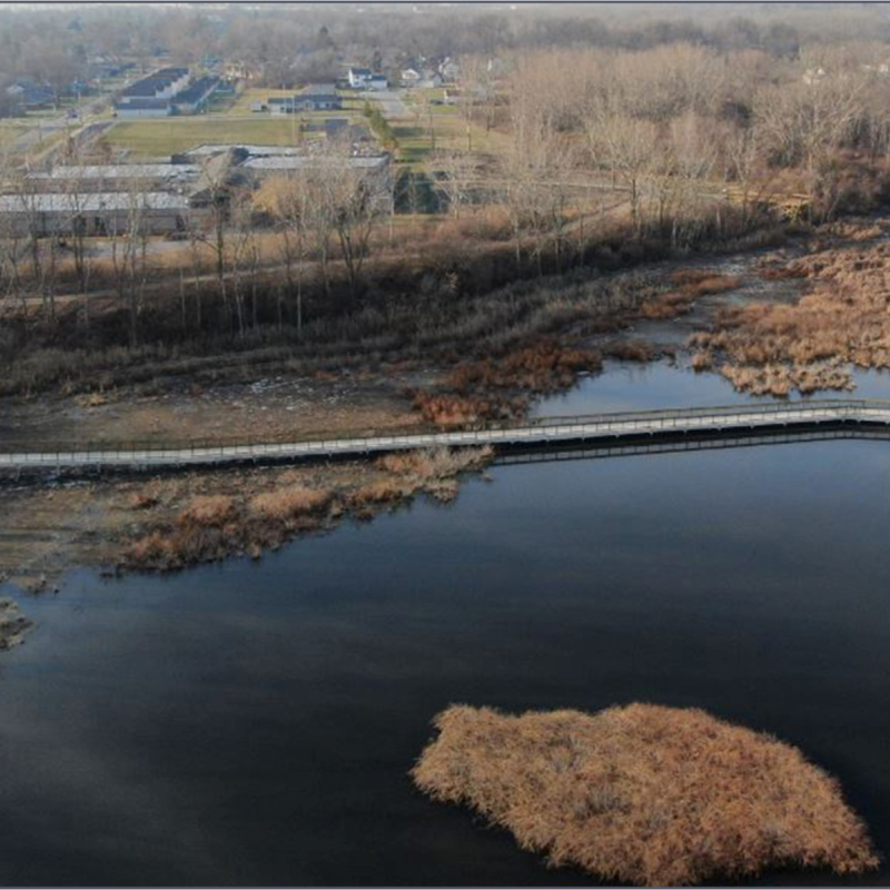 Manhattan Marsh 5